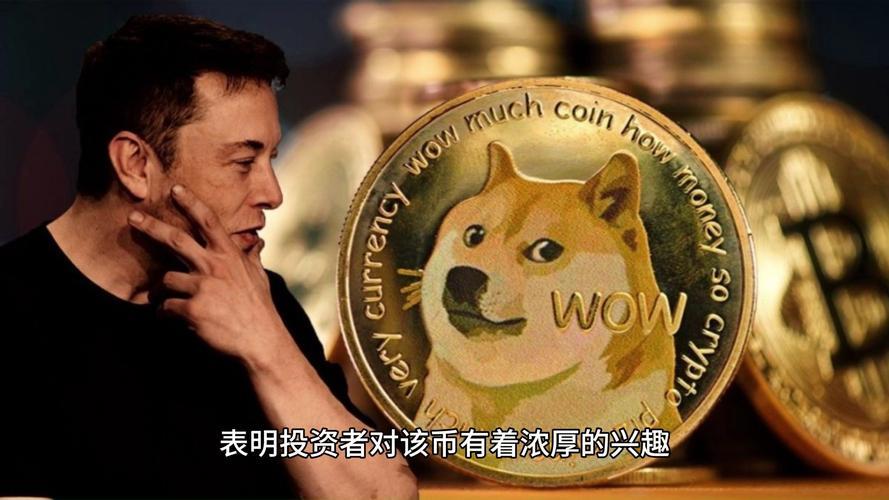 狗狗币转入tp钱包-tp钱包安卓版下载)TP钱包